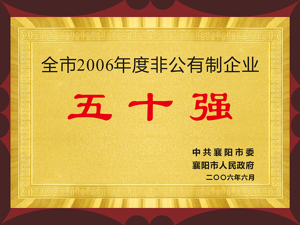 全市2006年度非公有制企業(yè)五十強